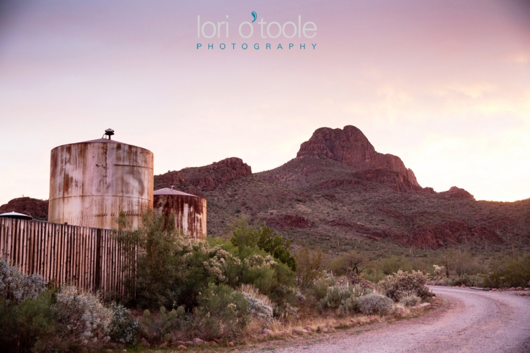 Stardance Event Center wedding; Lori OToole Photography; winter wedding in Tucson