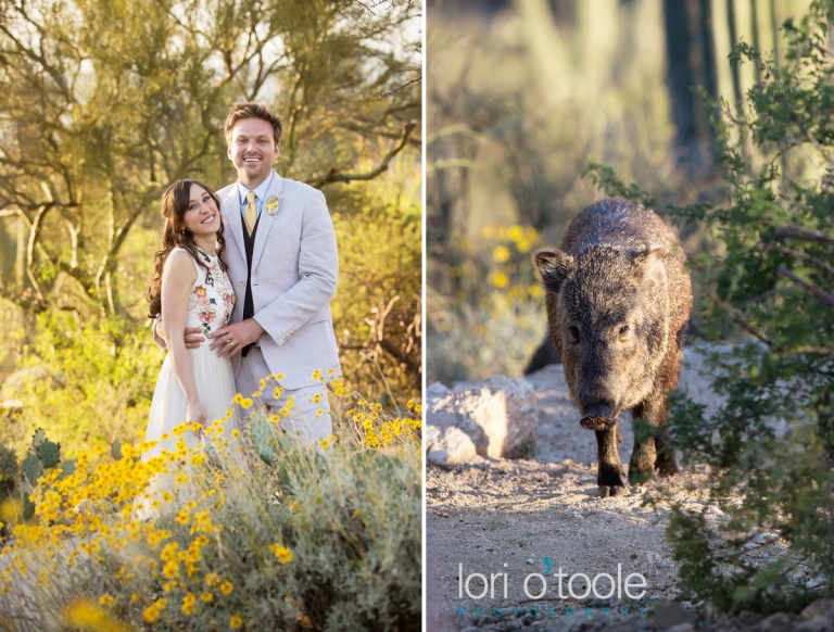 tanque verde ranch wedding 11, Lori OToole Photography, desert wedding venue