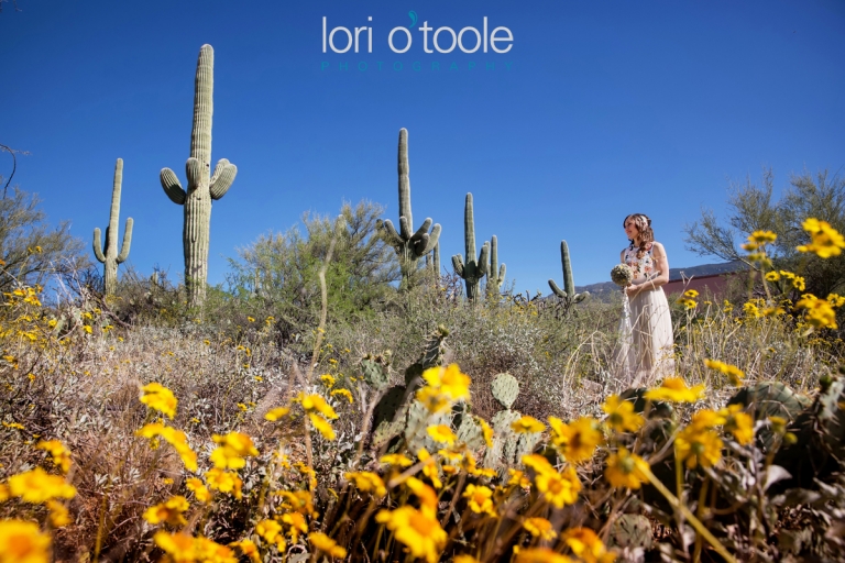 tanque verde ranch wedding 20, Lori OToole Photography, desert wedding venue