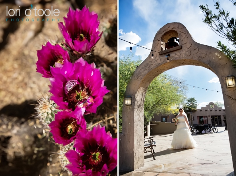 oasis wild horse ranch wedding; Lori OToole Photography; ranch wedding in Tucson