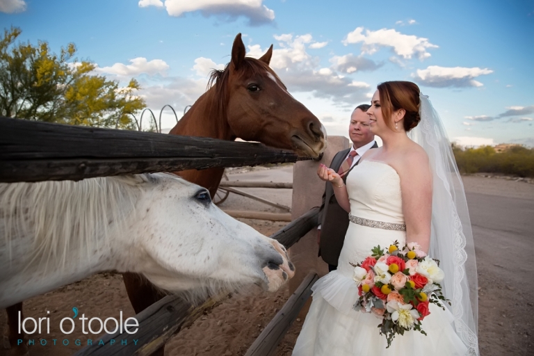 oasis wild horse ranch wedding; Lori OToole Photography; ranch wedding in Tucson