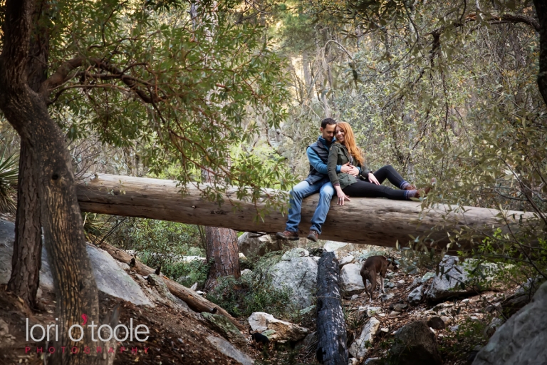 Mount Lemmon engagement photos; Lori OToole Photography; Tucson Wedding Photographers