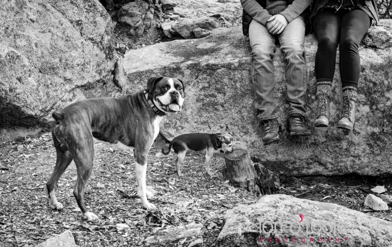 Mount Lemmon engagement photos; Lori OToole Photography; Tucson Wedding Photographers