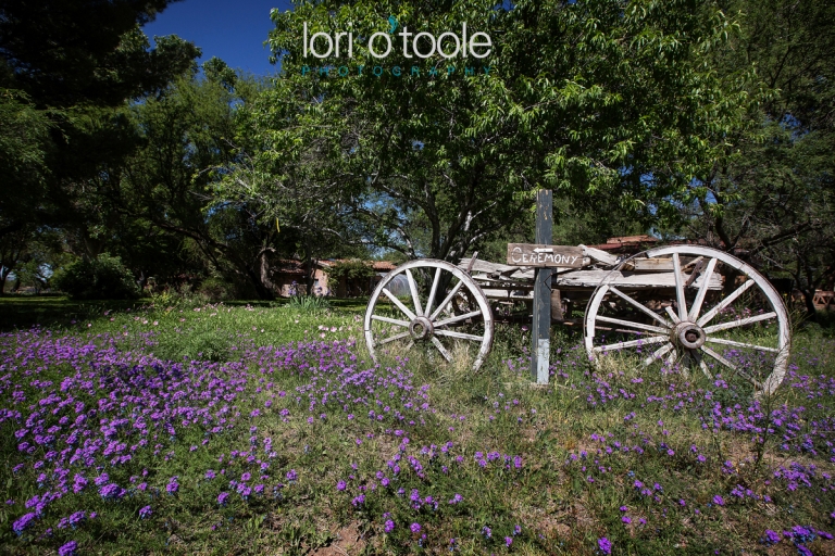 Agua Linda Farm Wedding, Lori OToole Photography, farm wedding in Arizona