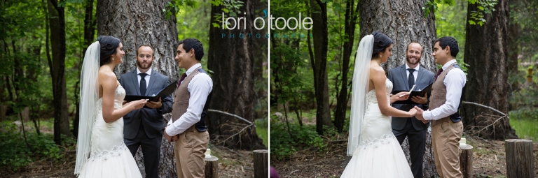 Mt Lemmon Wedding; Lori OToole Photography, arizona mountain wedding