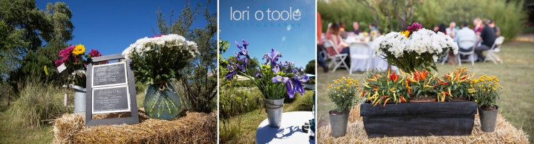 Arizona Farm wedding; Sonoita wedding; Lori OToole Photography