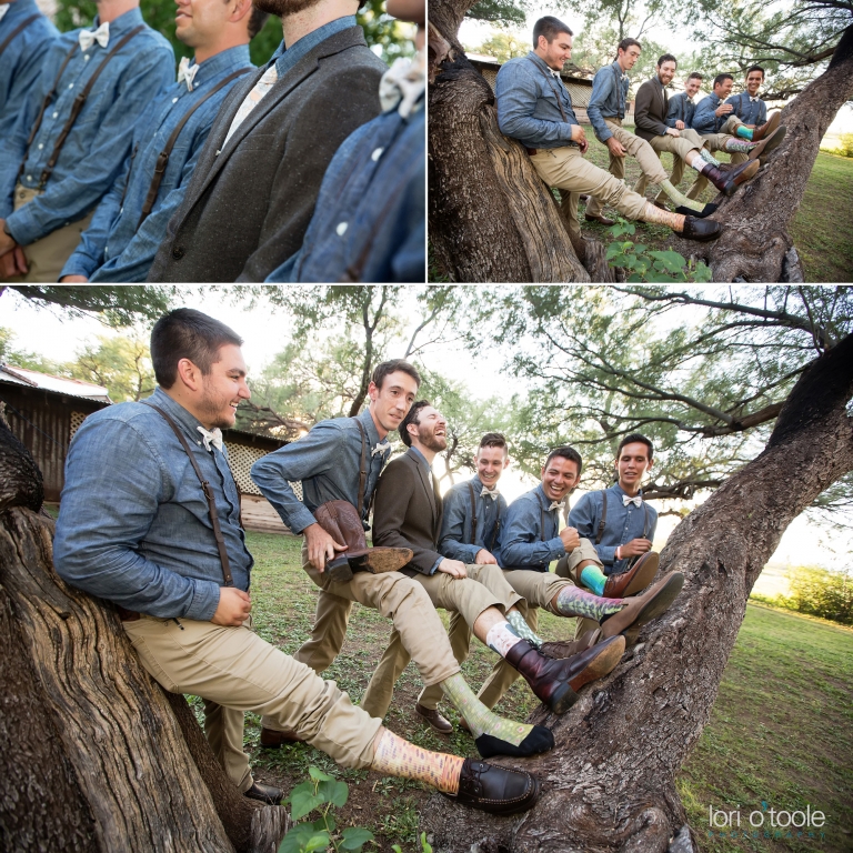 wedding at Agua Linda Farm; Lori OToole Photography; Arizona farm weddings