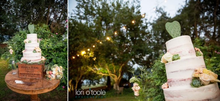 wedding at Agua Linda Farm; Lori OToole Photography; Arizona farm weddings