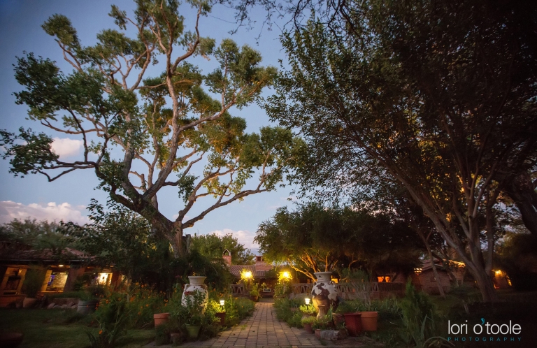 wedding at Agua Linda Farm; Lori OToole Photography; Arizona farm weddings