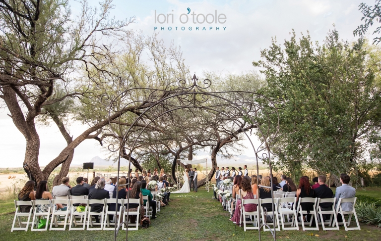 wedding at Agua Linda Farm; Lori OToole Photography; Southern Arizona ranch wedding