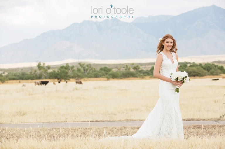 wedding at Agua Linda Farm; Lori OToole Photography; Southern Arizona ranch wedding