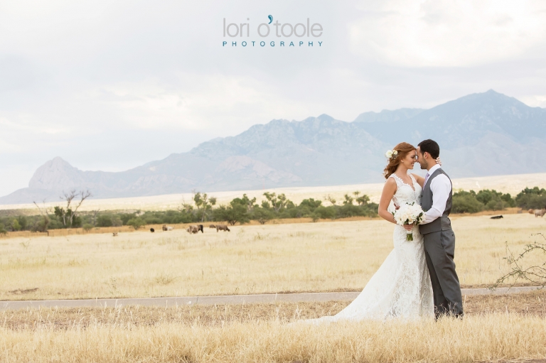 wedding at Agua Linda Farm; Lori OToole Photography; Southern Arizona ranch wedding