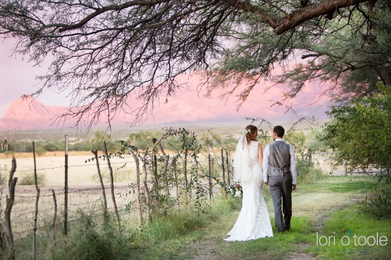 wedding at Agua Linda Farm; Lori OToole Photography; Southern Arizona ranch wedding
