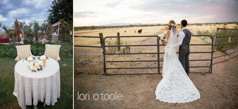 wedding at Agua Linda Farm; Lori OToole Photography; Southern Arizona ranch wedding