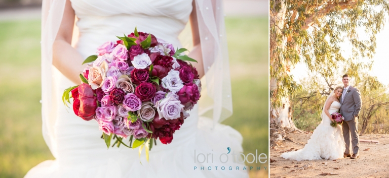 Buttes at Reflections wedding; Lori OToole Photography; Tucson wedding photography; desert wedding Tucson