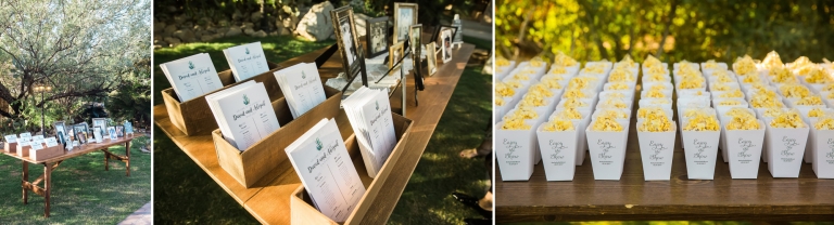 Tucson Wedding; Lori OToole Photography; Tucson wedding: Oasis at Wild Horse Ranch wedding