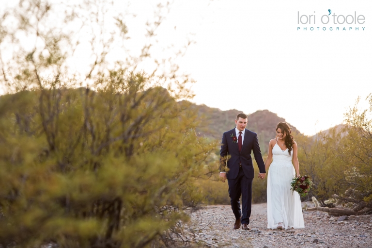 Tucson Wedding; Lori OToole Photography; Tucson wedding: Oasis at Wild Horse Ranch wedding