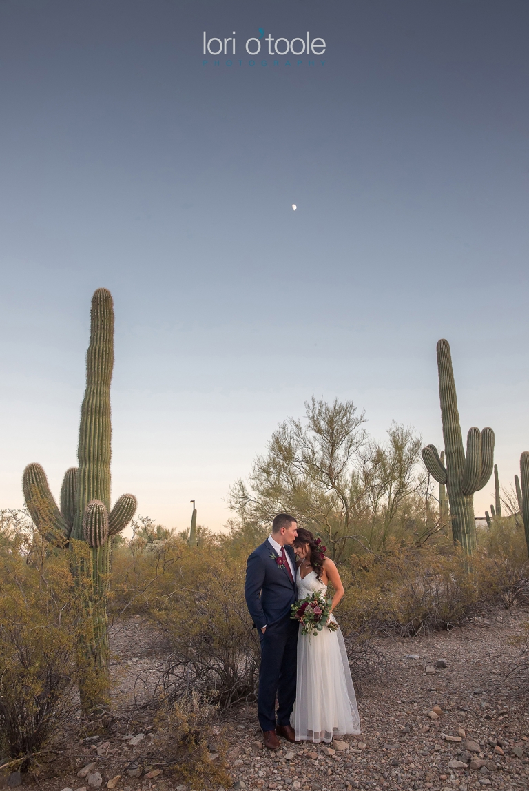 Tucson Wedding; Lori OToole Photography; Tucson wedding: Oasis at Wild Horse Ranch
