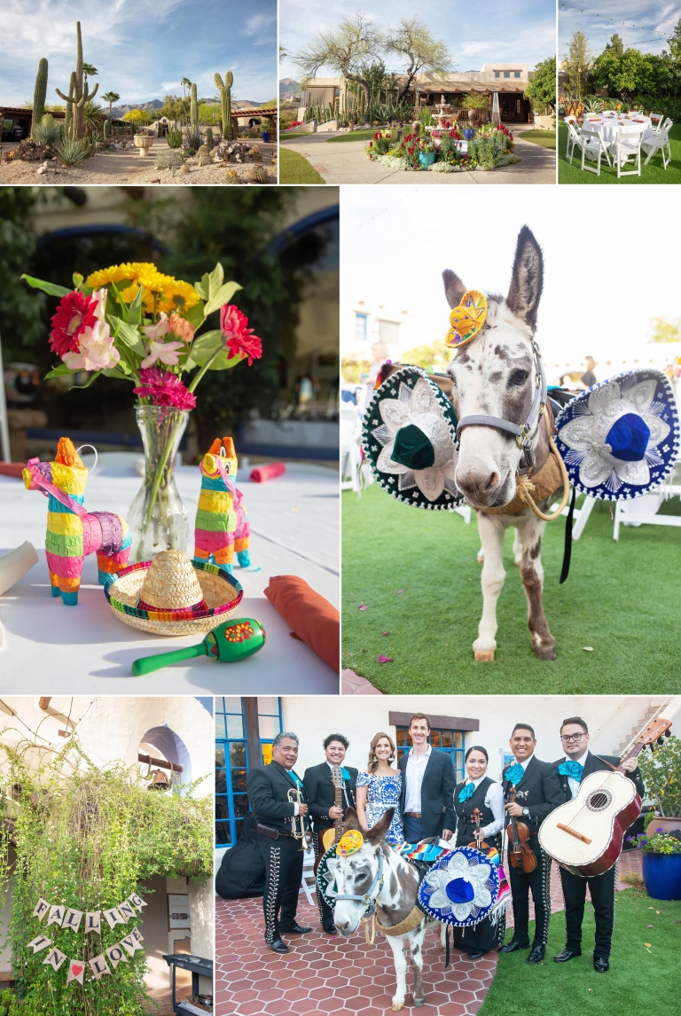 Beer Burro; Lori OToole Photography; wedding burro; Hacienda Del Sol; amazing wedding; wedding rehearsal dinner