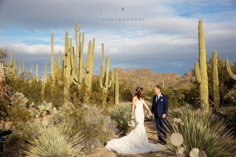 Ritz Carlton Dove Mountain wedding; Ritz Carlton Dove Mountain; Arizona wedding; Tucson wedding; Tucson wedding photography; Lori OToole Photography; desert wedding