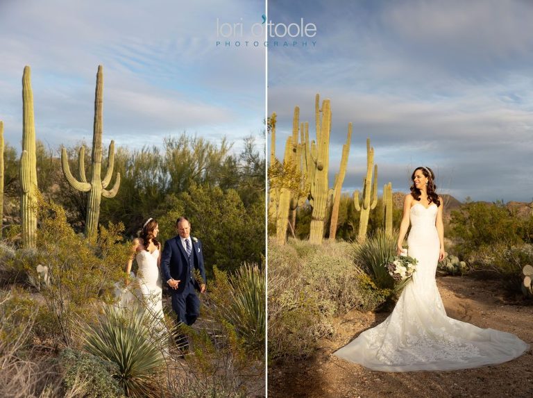 Ritz Carlton Dove Mountain wedding; Ritz Carlton Dove Mountain; Arizona wedding; Tucson wedding; Tucson wedding photography; Lori OToole Photography; desert wedding