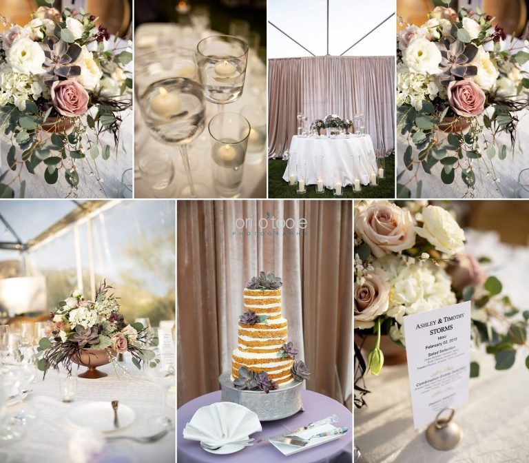 Ritz Carlton Dove Mountain wedding; Ritz Carlton Dove Mountain; Arizona wedding; Tucson wedding; Tucson wedding photography; Lori OToole Photography; desert wedding