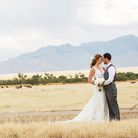 Desert wedding Tucson; wedding at Agua Linda Farm