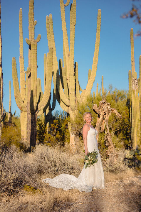 Ritz Carlton Dove Mountain wedding; Tucson wedding; Lori OToole Photography